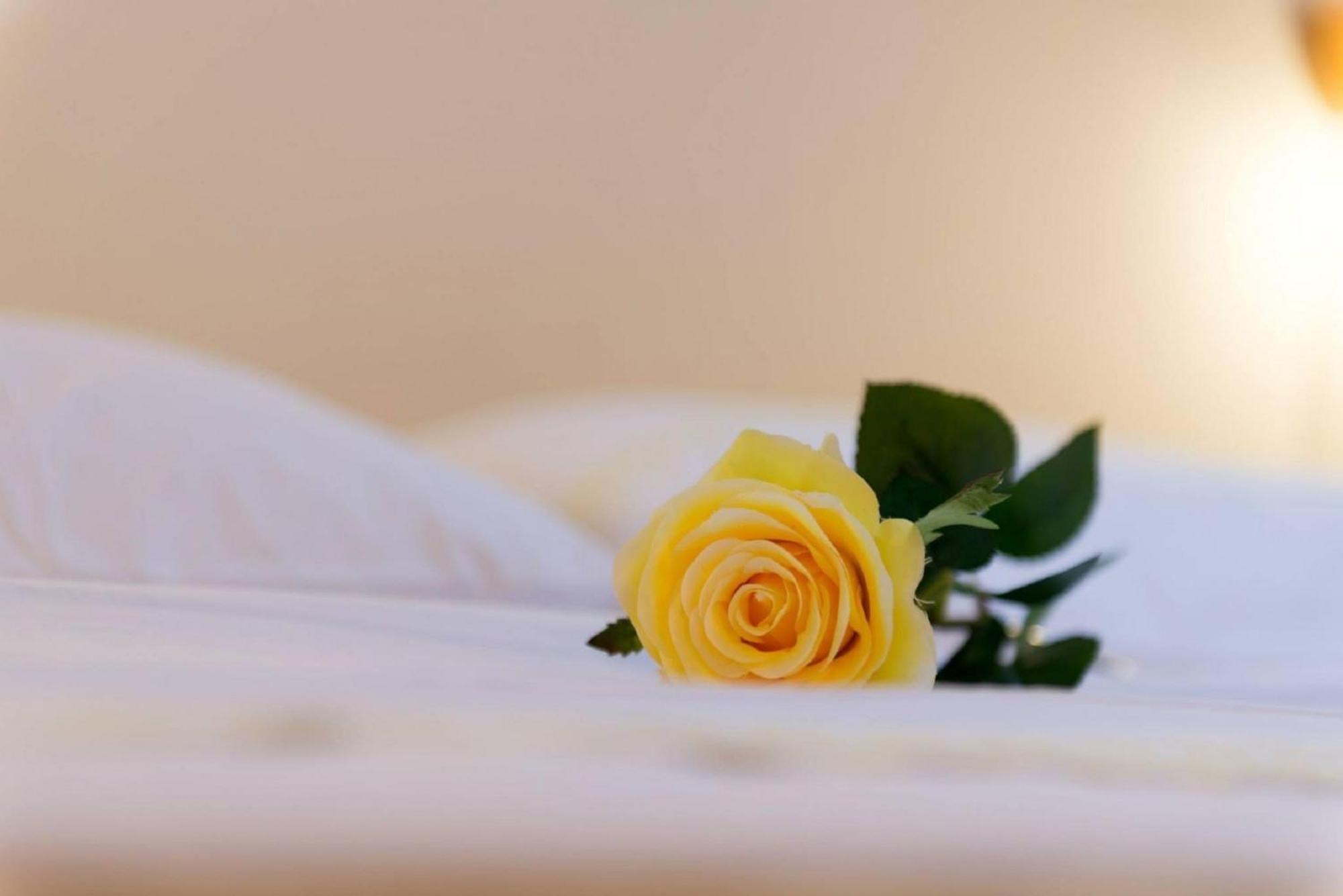 Villa Mar Vintage Apartments Дубровник Номер фото